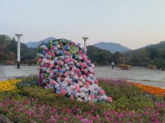 -白马涧龙池景区