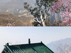-神农山景区
