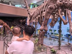 -陕西自然博物馆