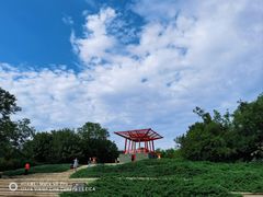 -大望京公园