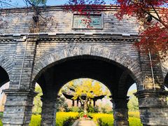 -三垟湿地