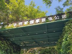 -华侨城湿地公园