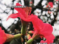 -成都杜甫草堂博物馆
