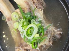 -莲洞本家