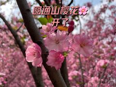 -昆明动物园