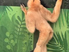 -杭州野生动物世界