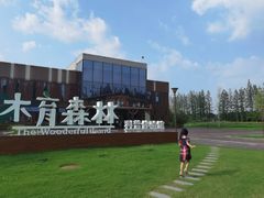 -黄海国家森林公园