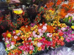 -越秀西湖花市(广州城市广场花卉店)