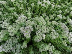 -野鸭湖国家湿地公园