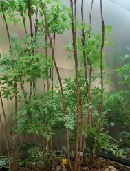 -好友缘酒家·宴会厅(西大店)