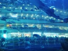 -成都浩海立方海洋公园