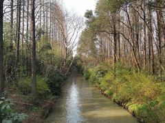 -同里国家湿地公园
