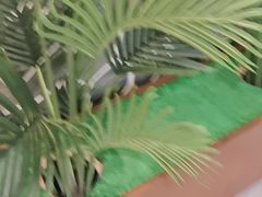 -胡家大厨(西三庄店)