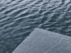 -天鹅湖体育公园