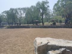 -尚庄度假村·庭台树下·户外烧烤·团建CS·轰趴营地(上庄水库店)