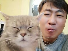 -猫色咖啡·猫咖