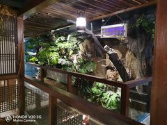 -聚缘堂·海鲜私房菜(松岭路店)