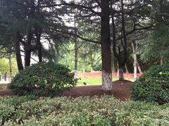 -白塘生态植物园