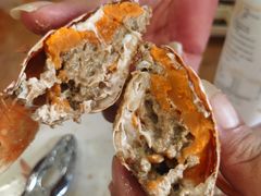 -蚝乡农庄(铁涌赤岸店)