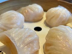 金悦虾饺皇-金悦轩海鲜城(渔人码头店)