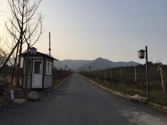 -帐篷客·溪龙茶谷度假酒店