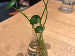 -Home Cafe(水榭春天店)