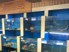 -鹰龙海畔度假酒店(咸祥店)