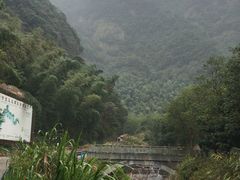 -宁波五龙潭景区