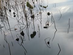 -颐和园