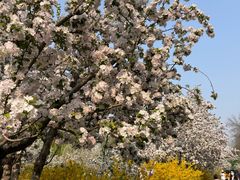 -元大都城垣遗址公园