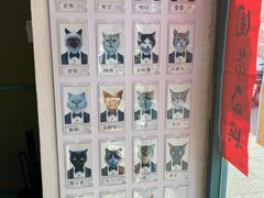 -喵屿·大理花园猫咖