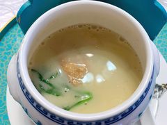 口袋豆腐-松云泽