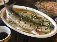 太湖清蒸白鱼-呼吸森林·生态农庄农家乐私房菜