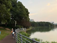 景点-美兰湖景区