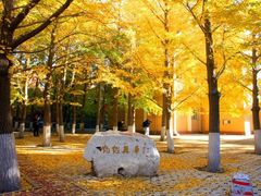 -辽宁大学(崇山校区)