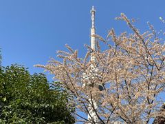 -龟山风景区-龟山电视塔