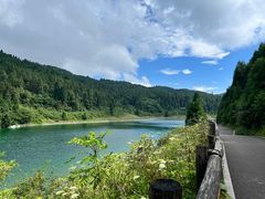 -武陵山森林公园