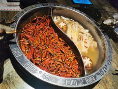 -销魂美蛙鱼头火锅(上海首店)