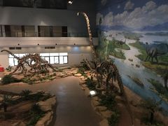 -自贡恐龙博物馆