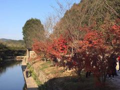 -塔川景区