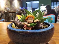 -初念轻轻然(长阳创谷店)