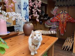 -谷咖啡·鲜花绿植花园餐厅