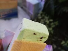 -詹爷爷乌节路街头冰淇淋