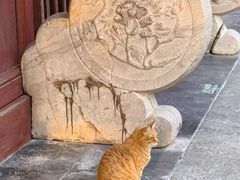 -龙华寺
