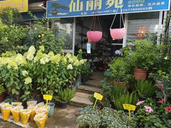 -桂林市花鸟市场