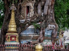 -德宏芒市国际机场