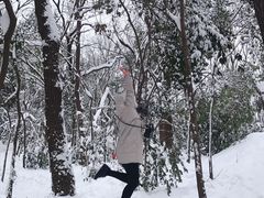 -紫金山山顶公园
