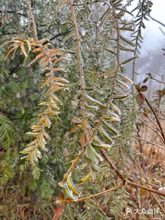 南岳衡山风景名胜区图片