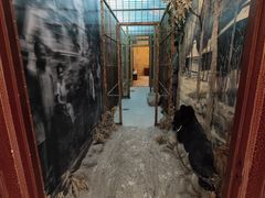 -北京动物园-畅观楼