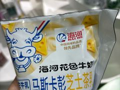 -天津海河华北乳品有限公司